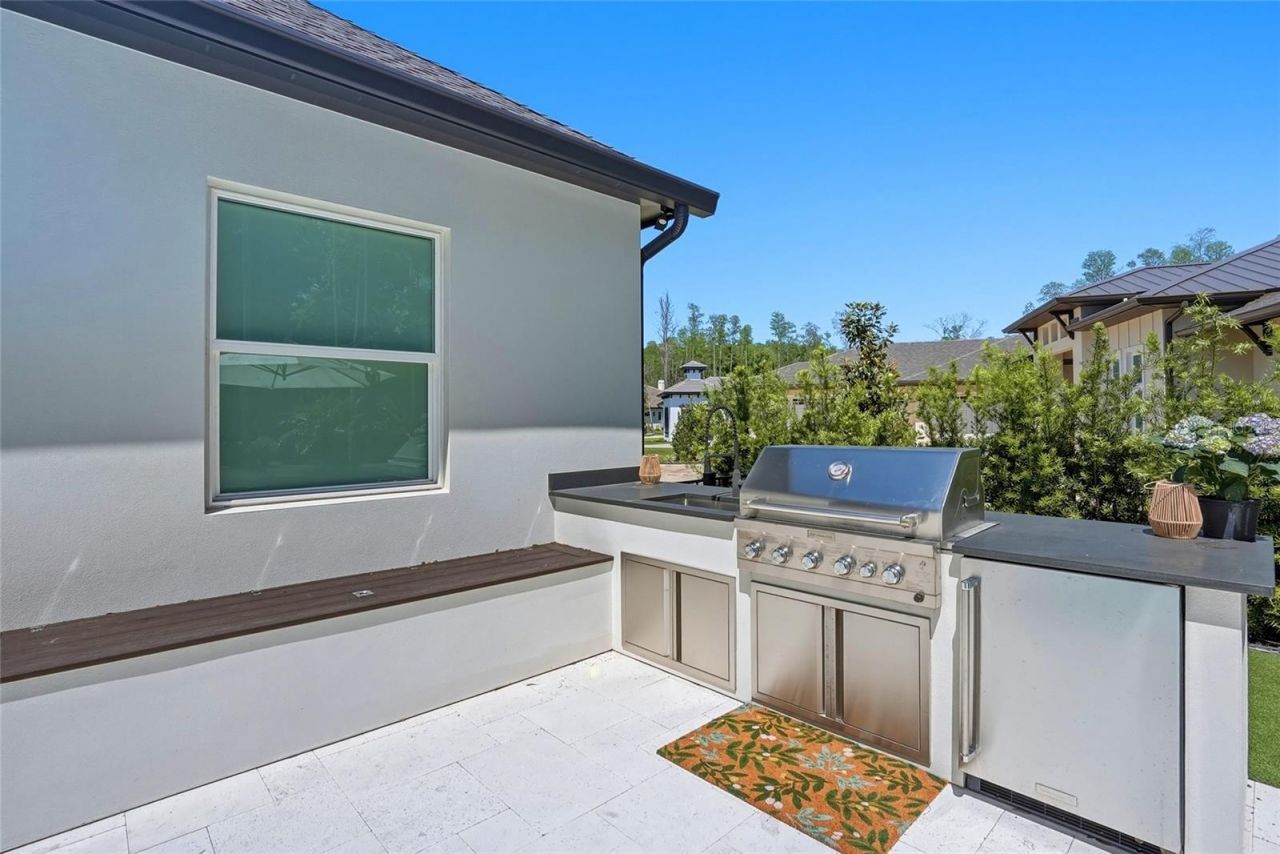 3944 Cove Lake Place, Land O Lakes, FL 34639 Photo