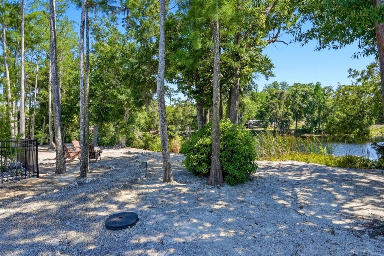 3944 Cove Lake Place, Land O Lakes, FL 34639 Photo