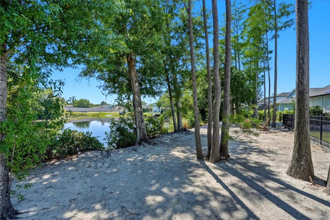 3944 Cove Lake Place, Land O Lakes, FL 34639 Photo