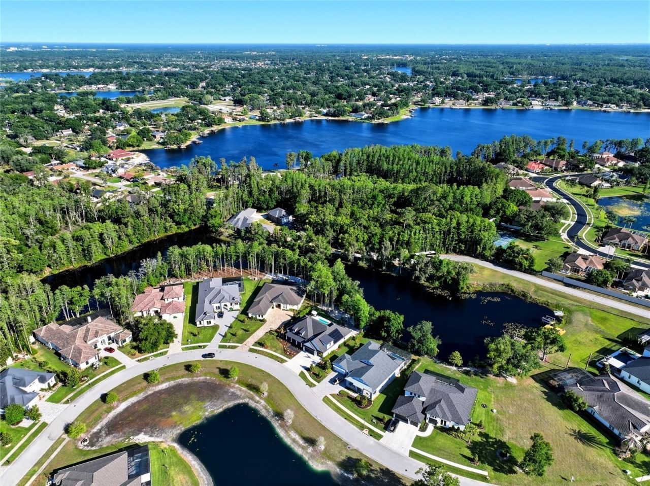 3944 Cove Lake Place, Land O Lakes, FL 34639 Photo