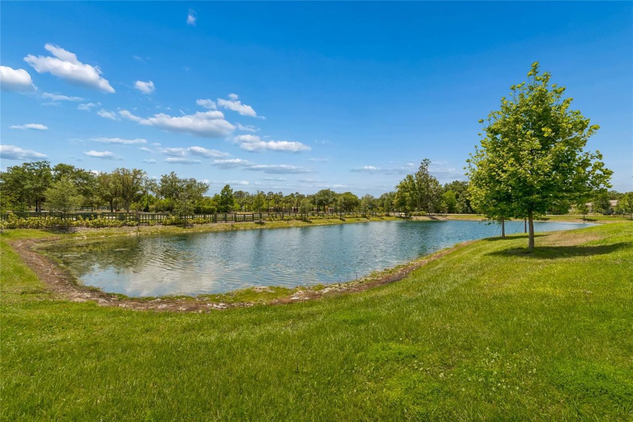 18238 Pearl View Place, Lutz, FL 33548 Photo