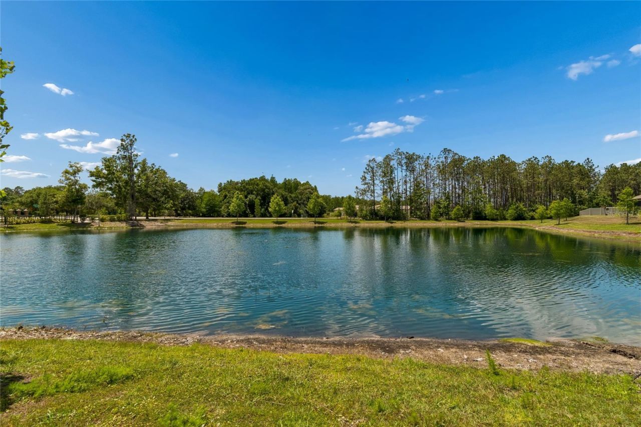 18238 Pearl View Place, Lutz, FL 33548 Photo