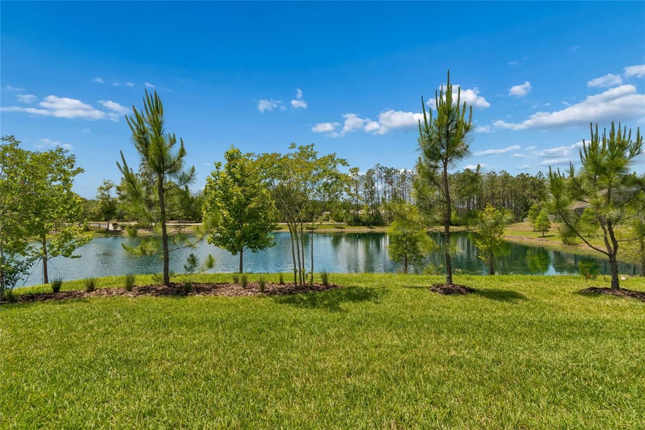 18238 Pearl View Place, Lutz, FL 33548 Photo