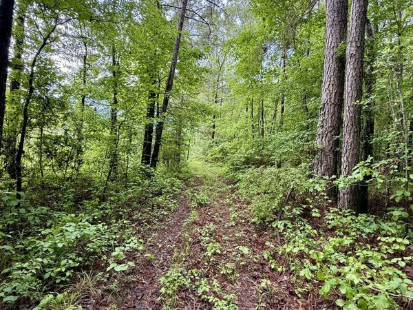 Bodka Valley, Scooba, MS 39358