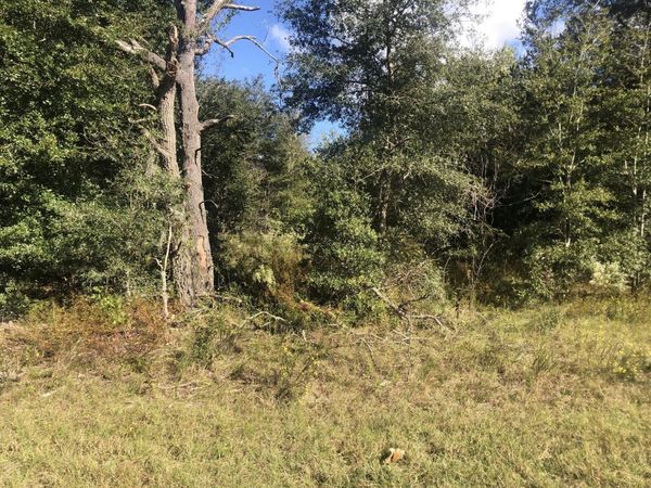0 Dawn Avenue, Interlachen, FL 32148