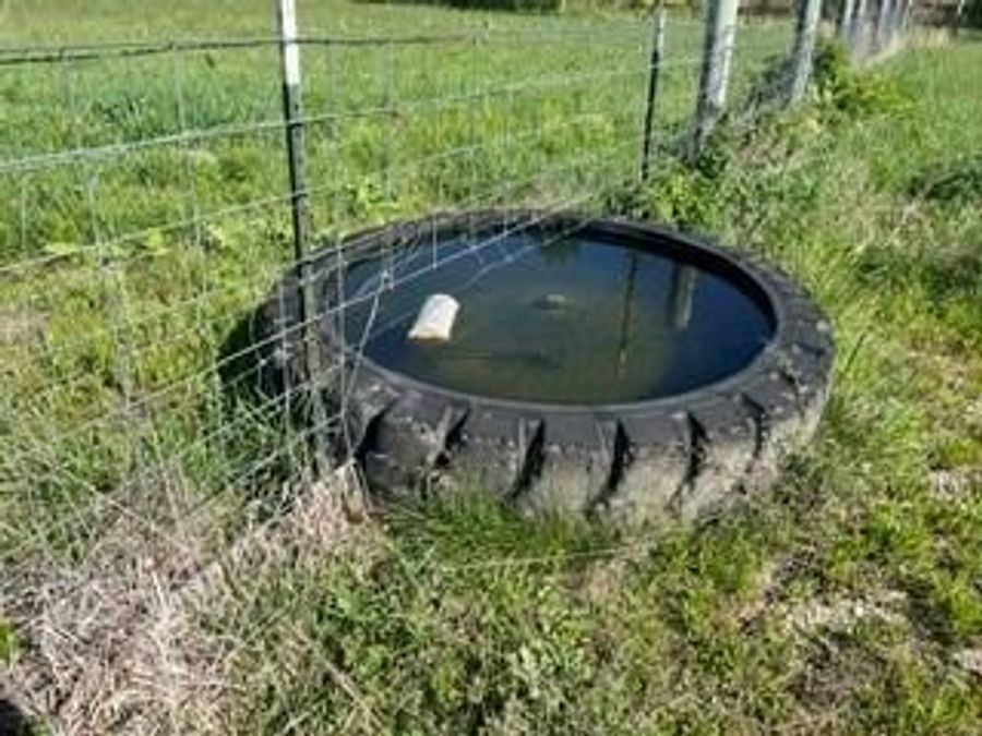 Property Image 5