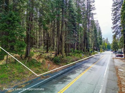 857 Hwy 4, Arnold, CA 95223 Photo