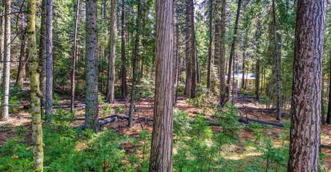 857 Hwy 4, Arnold, CA 95223 Photo