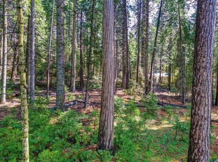 857 Hwy 4, Arnold, CA 95223 Photo