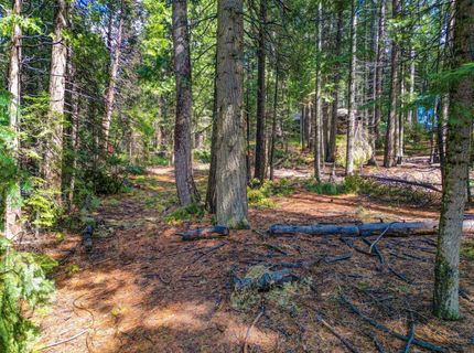 857 Hwy 4, Arnold, CA 95223 Photo