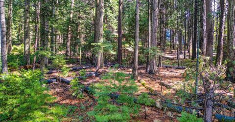 857 Hwy 4, Arnold, CA 95223 Photo