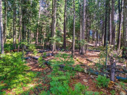 857 Hwy 4, Arnold, CA 95223 Photo