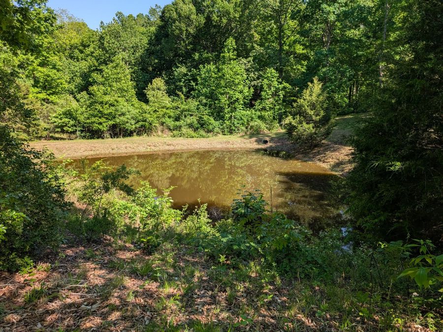 Property Image 61