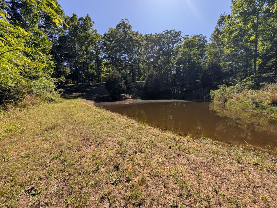Property Image 63