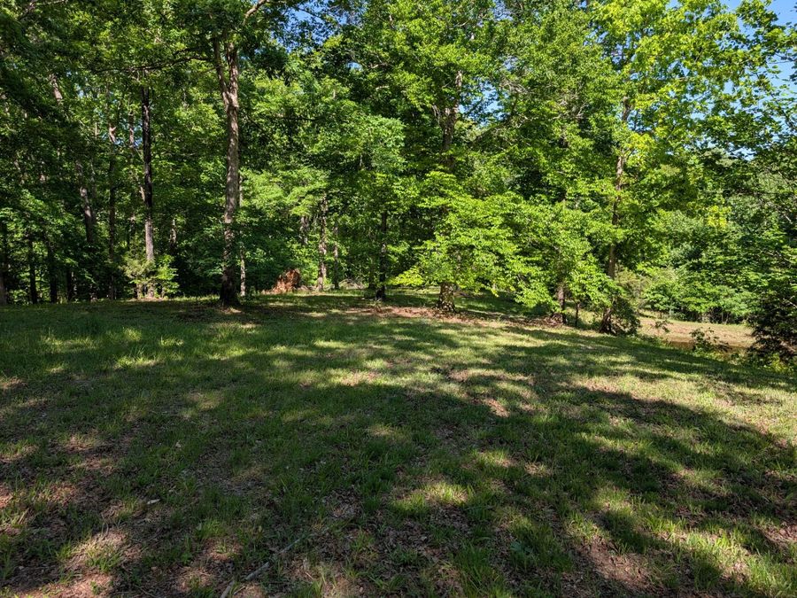 Property Image 67