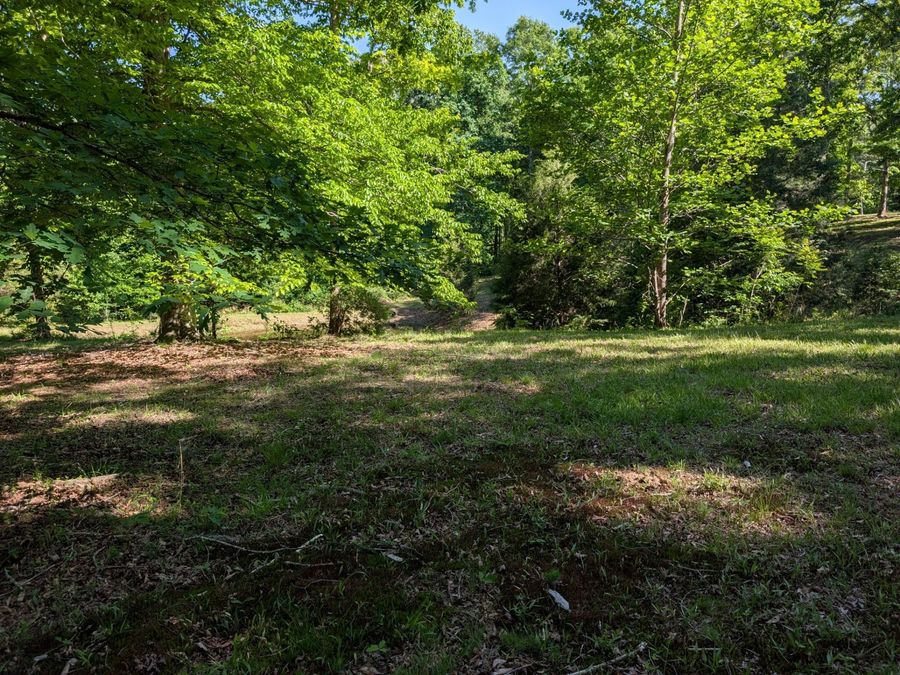 Property Image 68