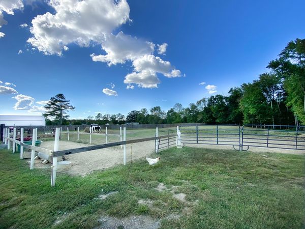 1260 Toy Denny Rd , Bradyville, TN 37026