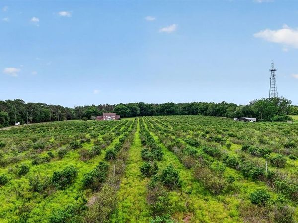 URICK STREET , FRUITLAND PARK, FL 34731