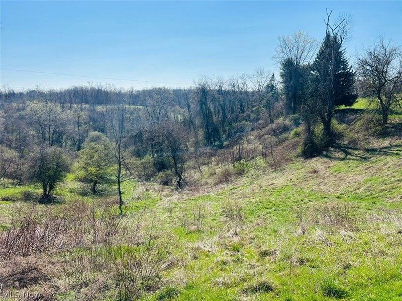 186 Township Rd 1305 , Toronto, OH 43964 Photo 29