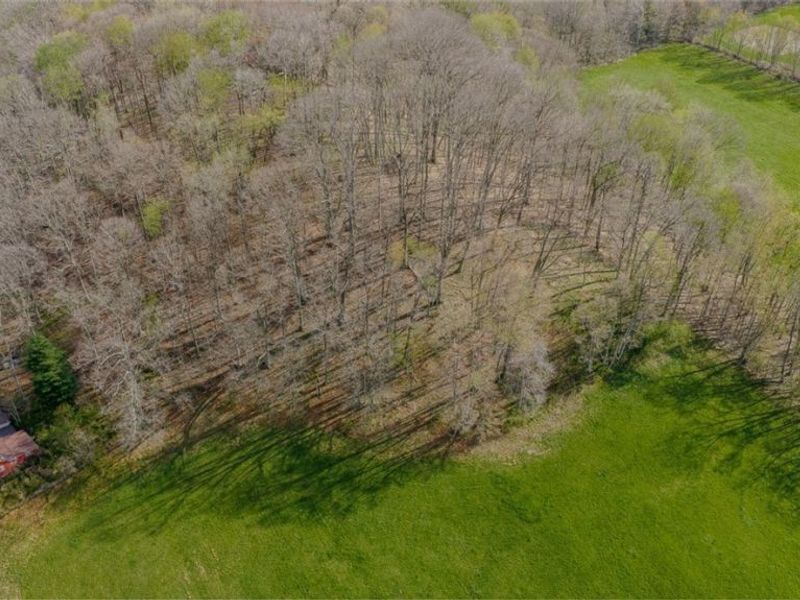 9939 Mapleton Street SE, East Canton, OH 44730 Photo 11