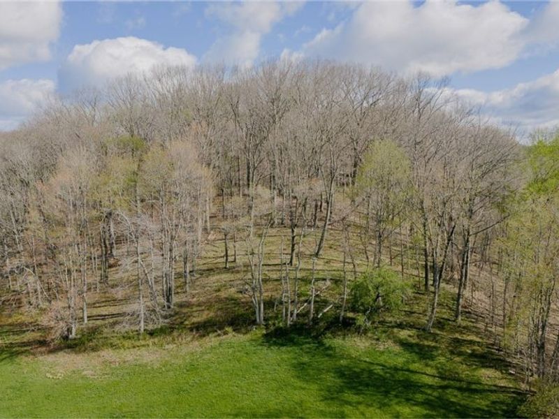 9939 Mapleton Street SE, East Canton, OH 44730 Photo 12