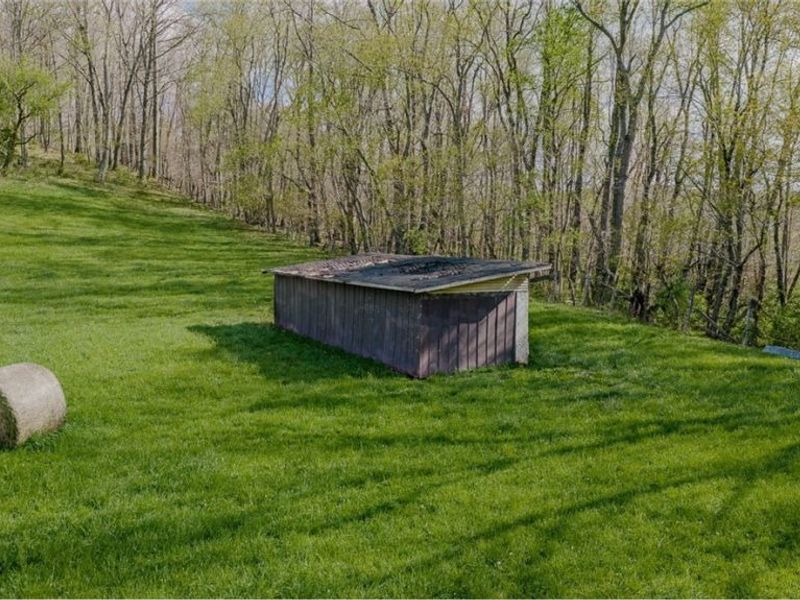 9939 Mapleton Street SE, East Canton, OH 44730 Photo 13
