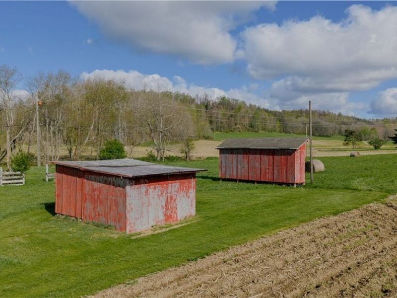9939 Mapleton Street SE, East Canton, OH 44730 Photo 17