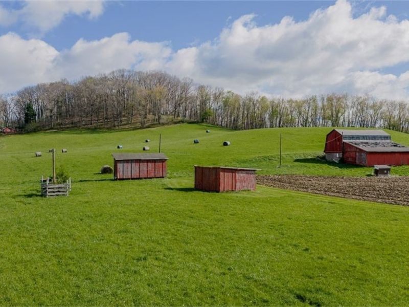 9939 Mapleton Street SE, East Canton, OH 44730 Photo 19