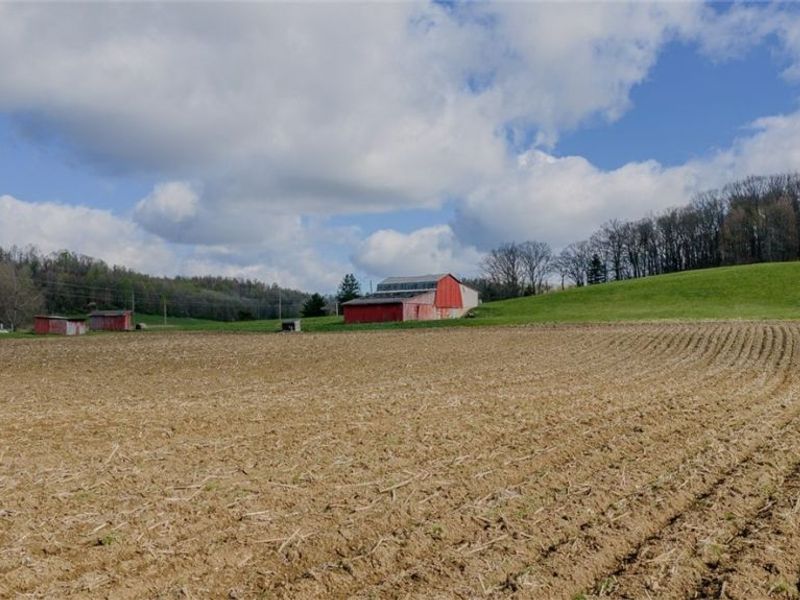 9939 Mapleton Street SE, East Canton, OH 44730 Photo 5