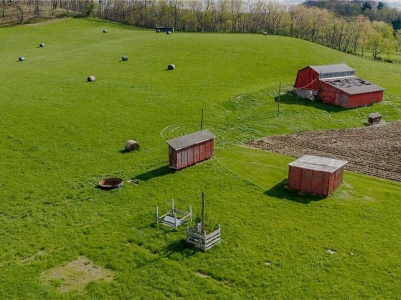 9939 Mapleton Street SE, East Canton, OH 44730 Photo 7