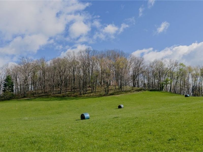 9939 Mapleton Street SE, East Canton, OH 44730 Photo 8