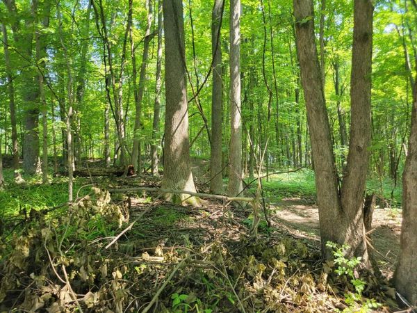 V/L Peterson Drive, Gobles, MI 49055