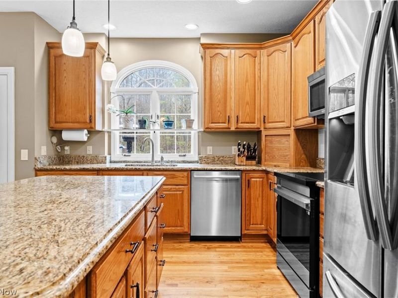 7375 Burntwood Way, Hudson, OH 44236 Photo 9