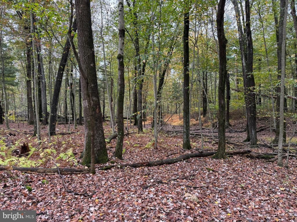 E Locust St , Mount Holly Springs, PA 17065 Main Photo