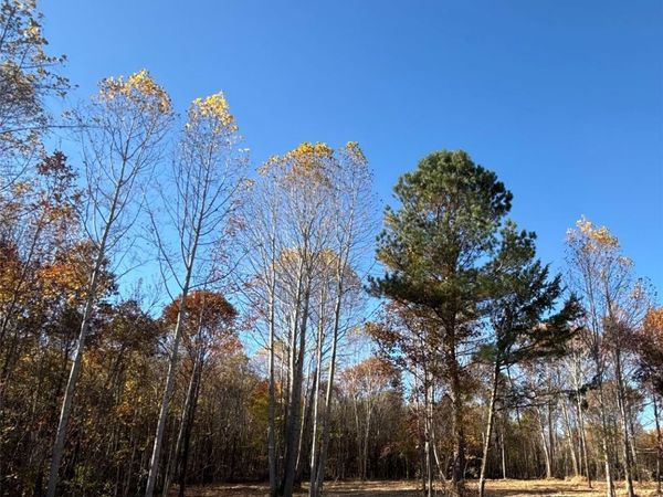 2 Erwin Temple Church Road, Woodleaf, NC 27054