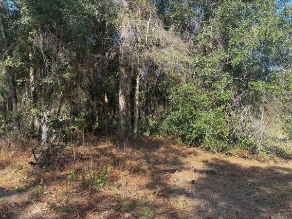 7178 W Wildfire Lane, Homosassa, FL 34448