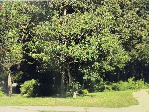 5969 Hermitage Dr, Pensacola, FL 32504