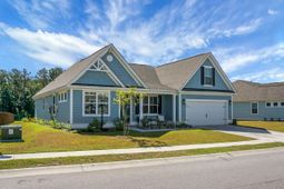 658 Black Pine photo 4