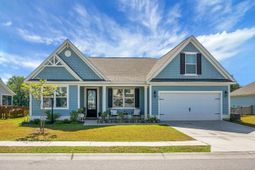 658 Black Pine photo 4