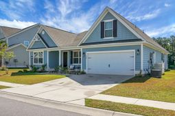 658 Black Pine photo 4
