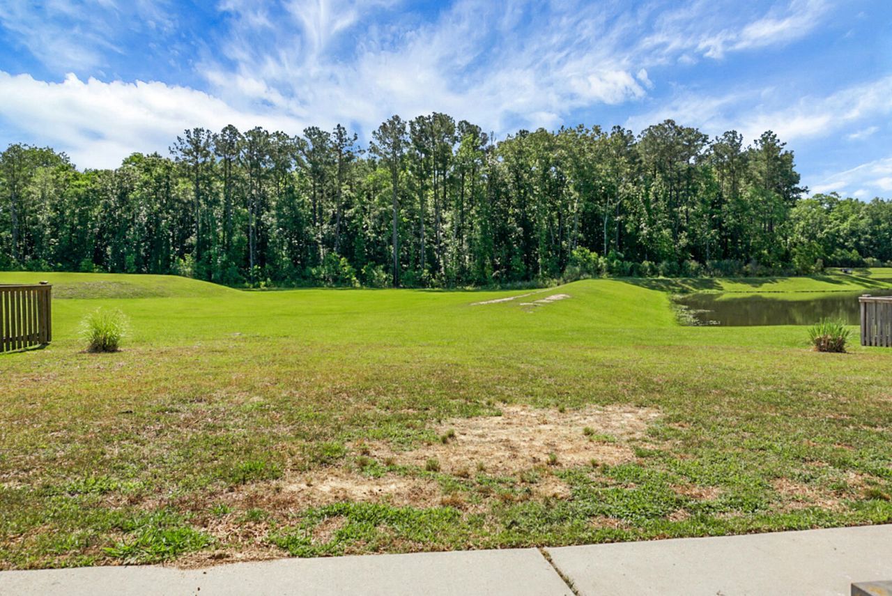 658 Black Pine Photo 51