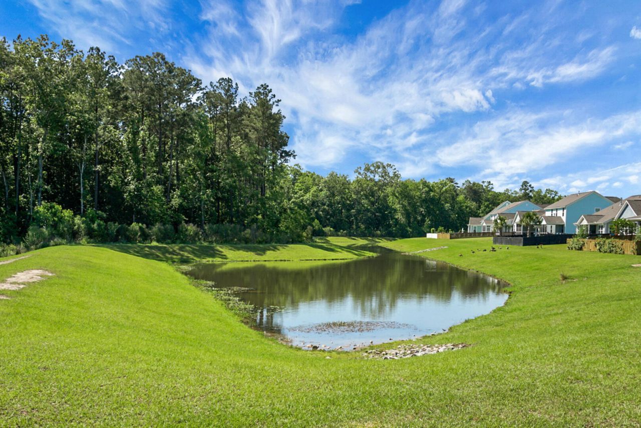 658 Black Pine Photo 53
