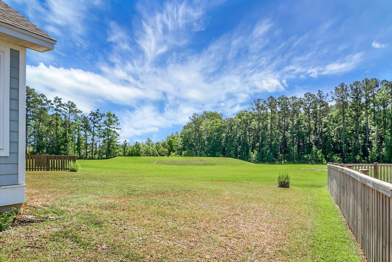 658 Black Pine Photo 55