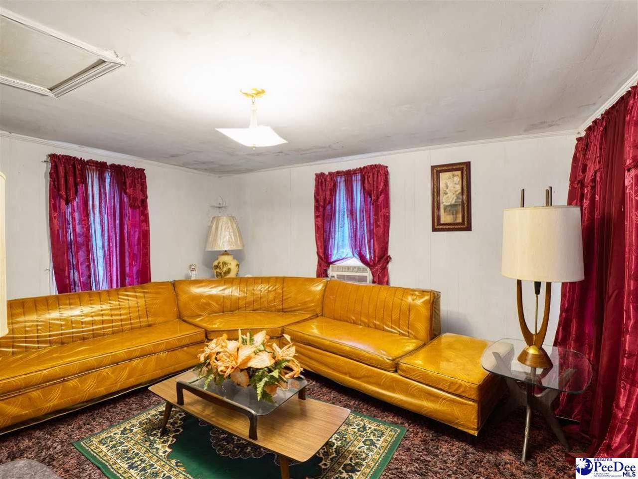 61 Willie Millan Drive Photo 16