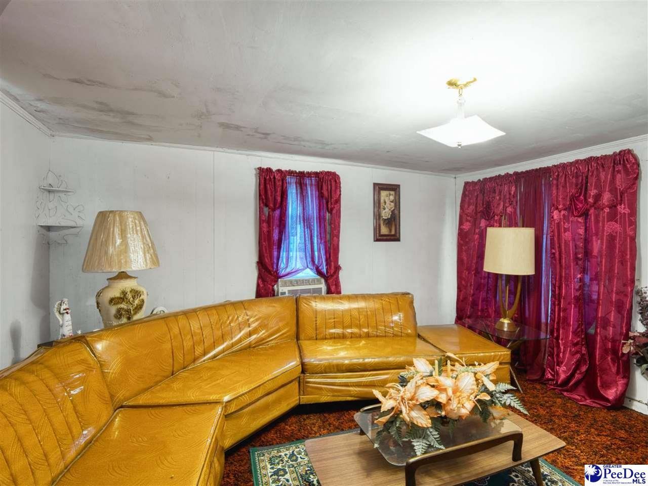 61 Willie Millan Drive Photo 17