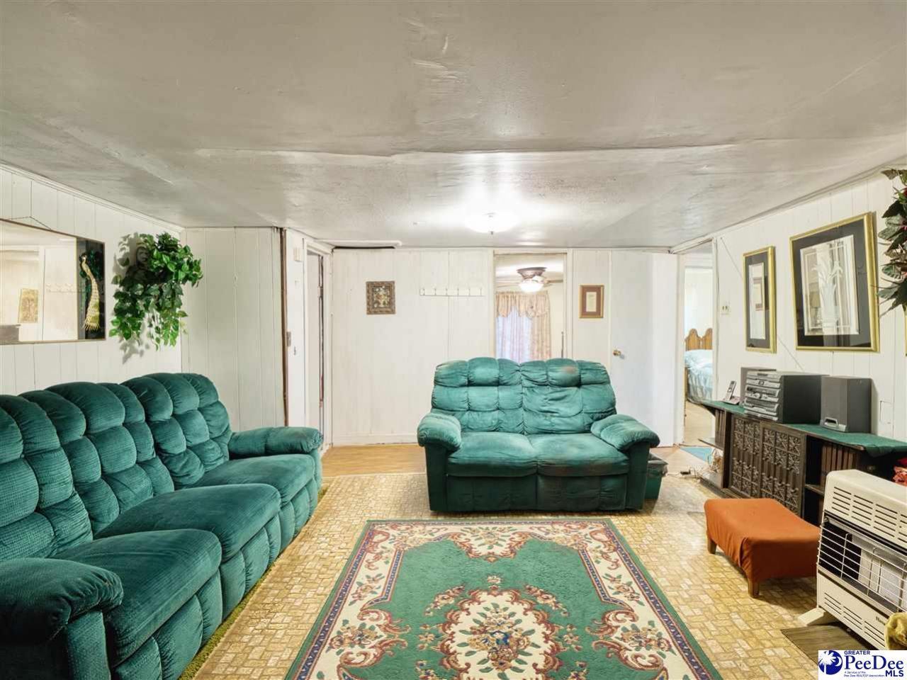 61 Willie Millan Drive Photo 19