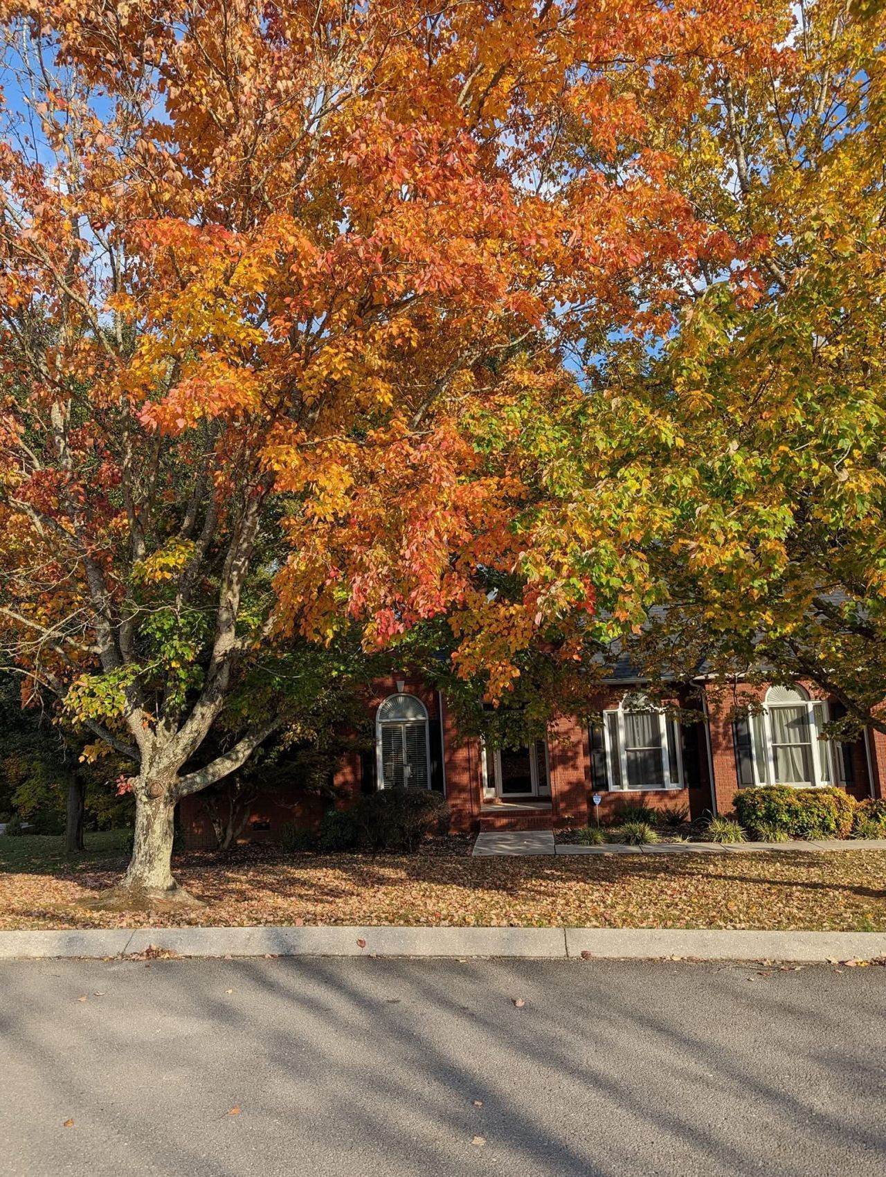 46 Deerfield Ct  Mc Minnville, TN 37110