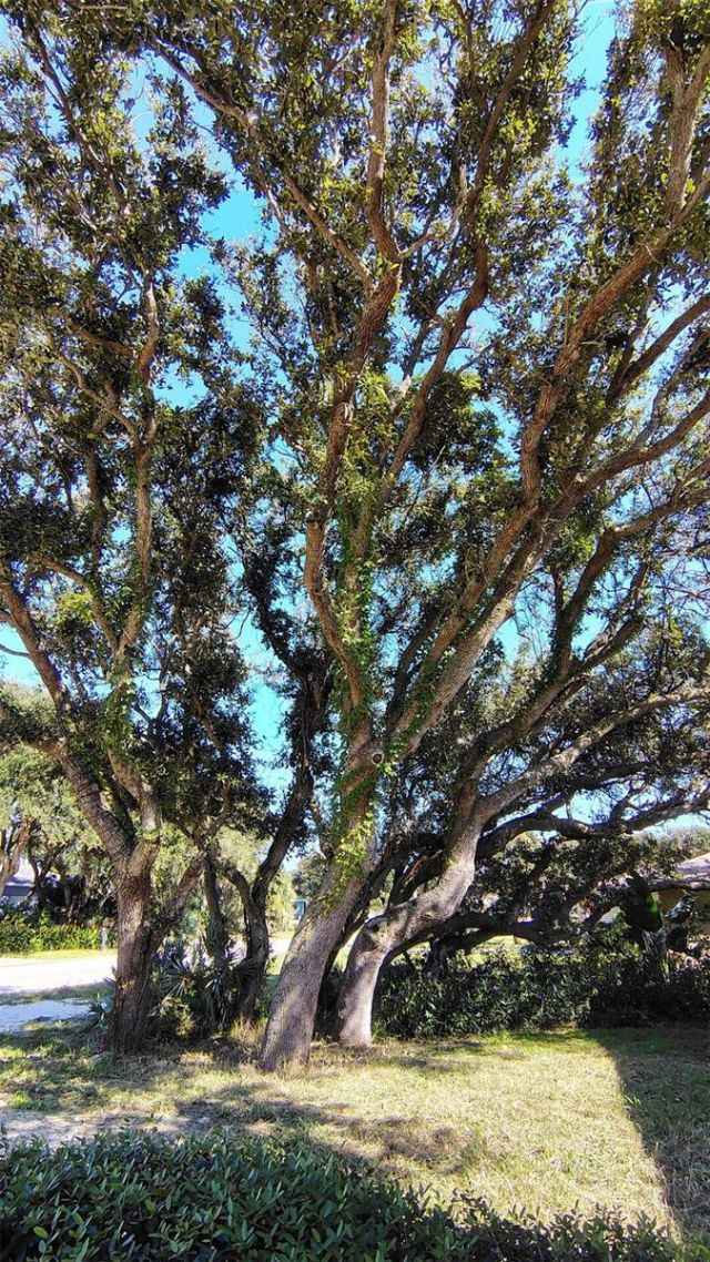 4790 Michael Lane, Ponce Inlet, FL 32127 Photo
