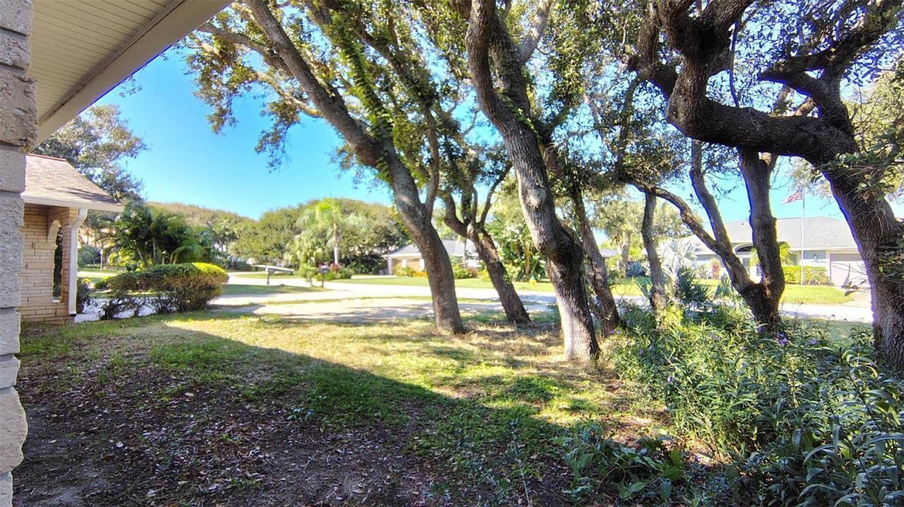4790 Michael Lane, Ponce Inlet, FL 32127 Photo