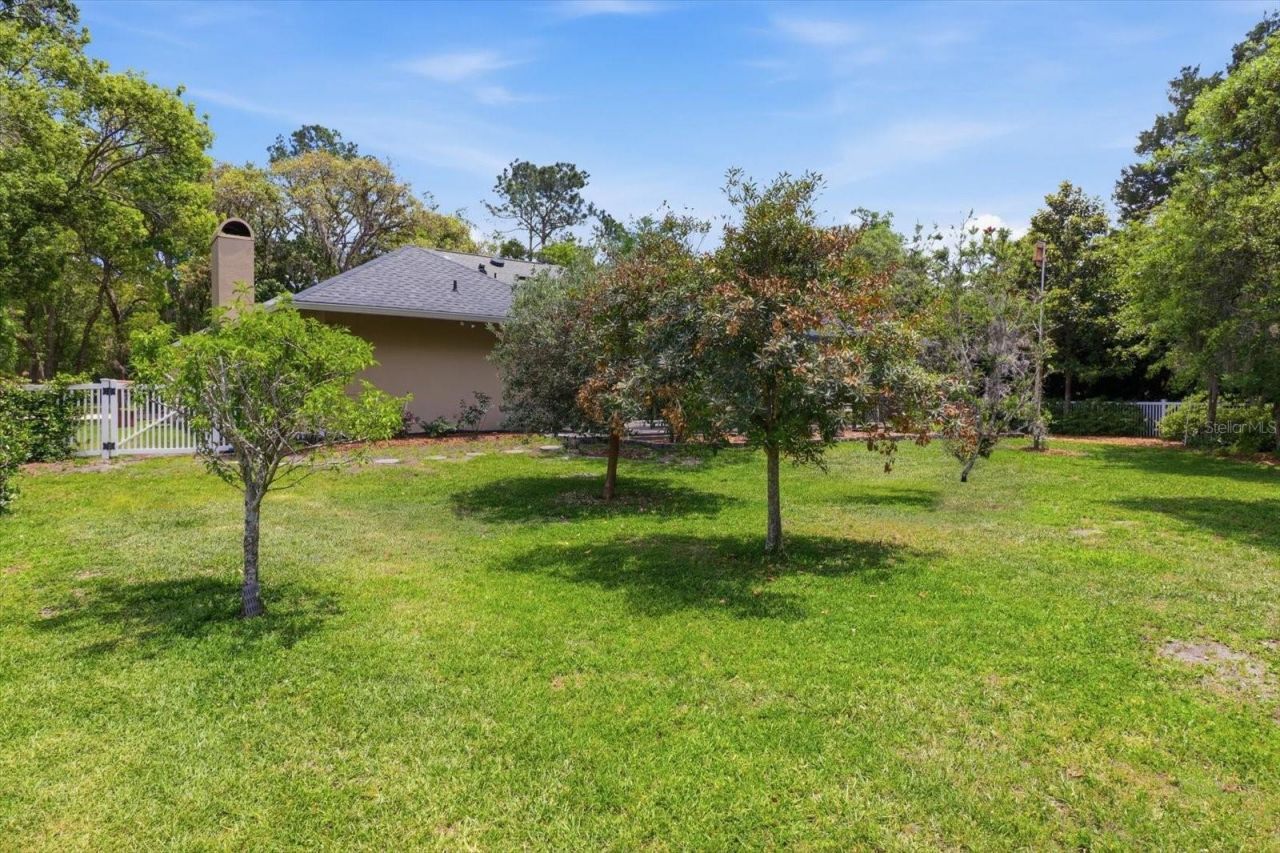 35 Douglas Street, Homosassa, FL 34446 Photo